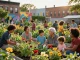 Community and Society
